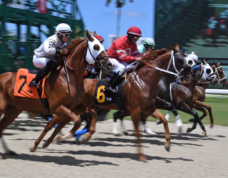 Gulfstream Tapeta - Ryan Thompson - Coglianese Photos