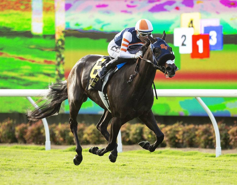 Iscreamuscream - San Clemente Stakes G2T - Benoit Photo