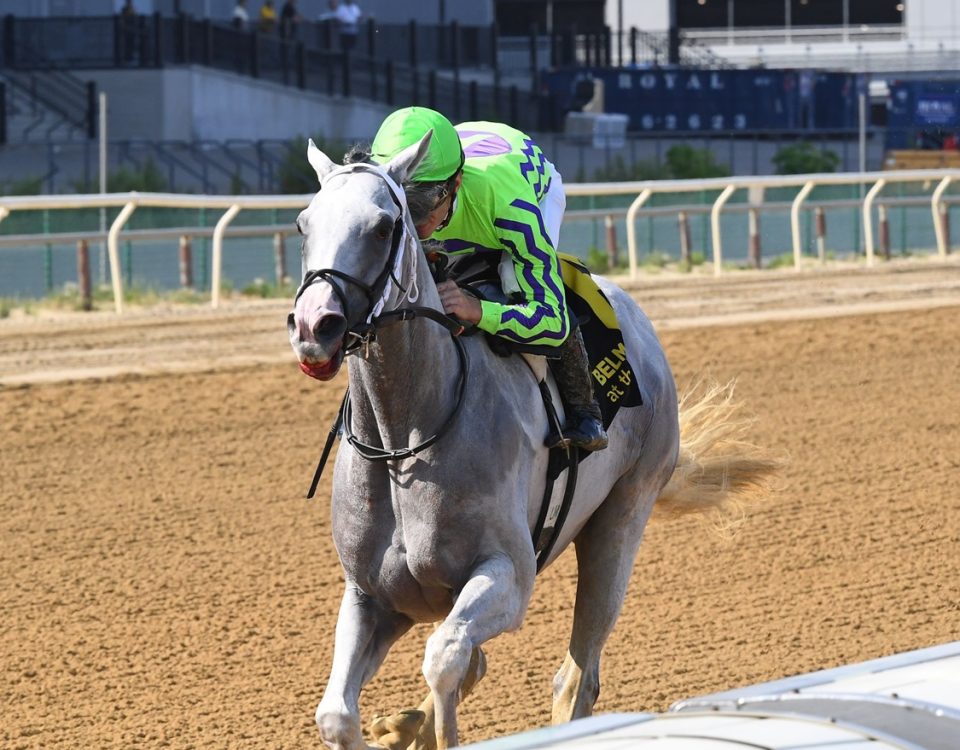 Next - Brooklyn Stakes G2 - Coglianese Photo/Chelsea Durand