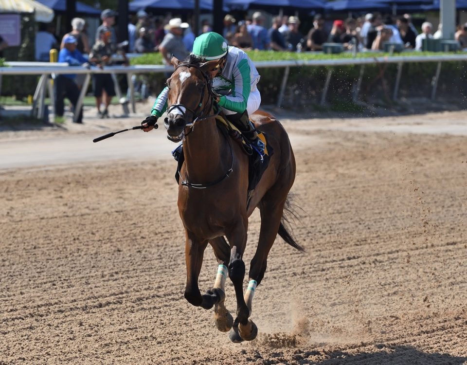 Octane - Ryan Thompson - Coglianese Photos