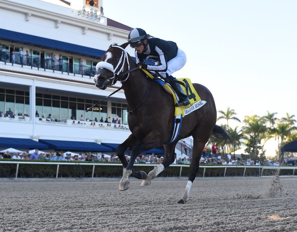 R Harper Rose - Forward Gal Stakes G3 - Coglianese Photos