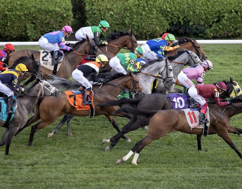 Saratoga Scenic - DRF Barbara Livingston