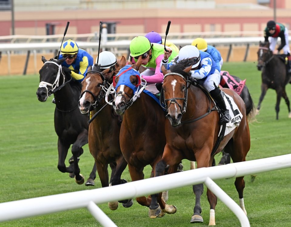 Soloshot -NYSS Stakes - Coglianese Photos