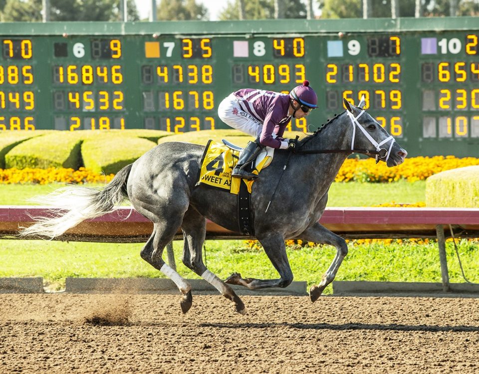 Sweet Azteca - Great M Lady Stakes G2 - Benoit Photo