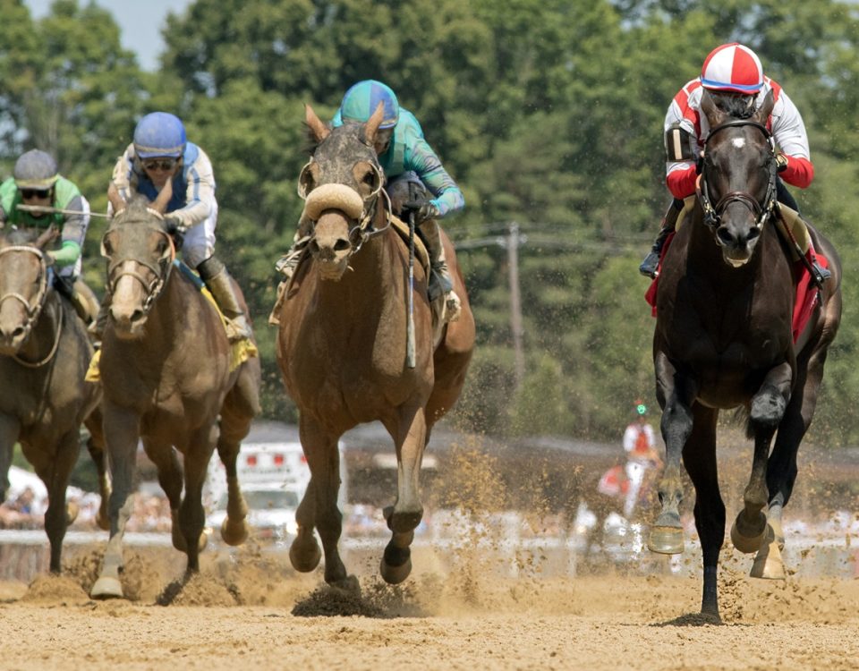 Unmatched Wisdom - Curlin Stakes - DRF Barbara Livingston