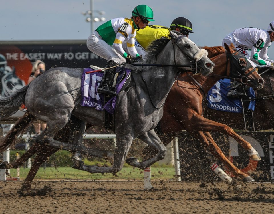 Woodbine Scenic - Foto Julie Wright