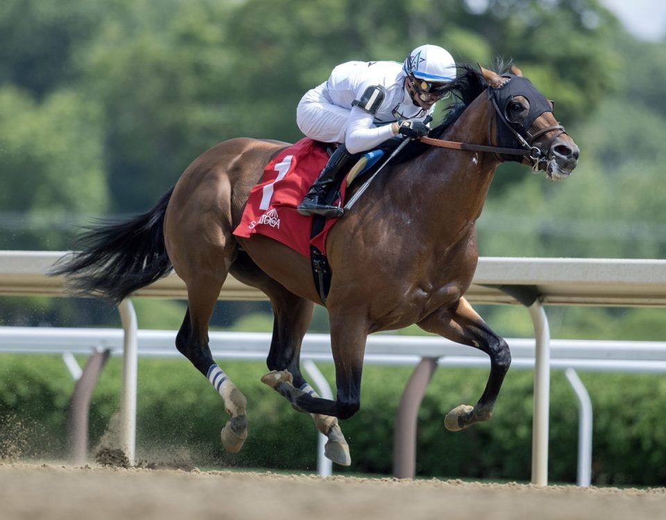 World Record - Amsterdam Stakes G2 - DRF Barbara Livingston