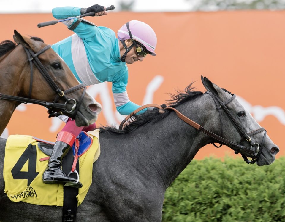 Beaute Cachee (Fr) - Ballston Spa Stakes G2T - DRF Barbara Livingston