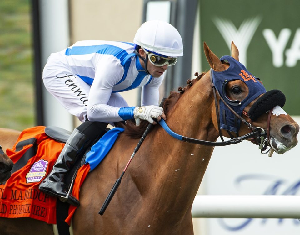 Gold Phoenix - Del Mar Handicap G2T - Benoit Photo