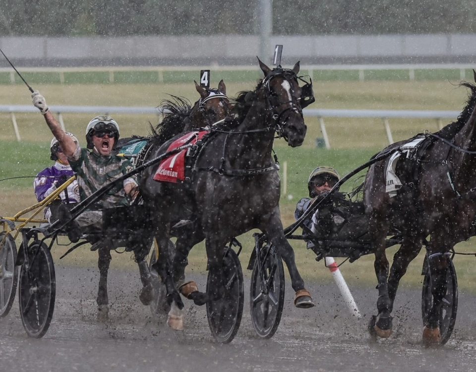 KARL - Hambletonian - credit Mike Lizzi DRF Harness