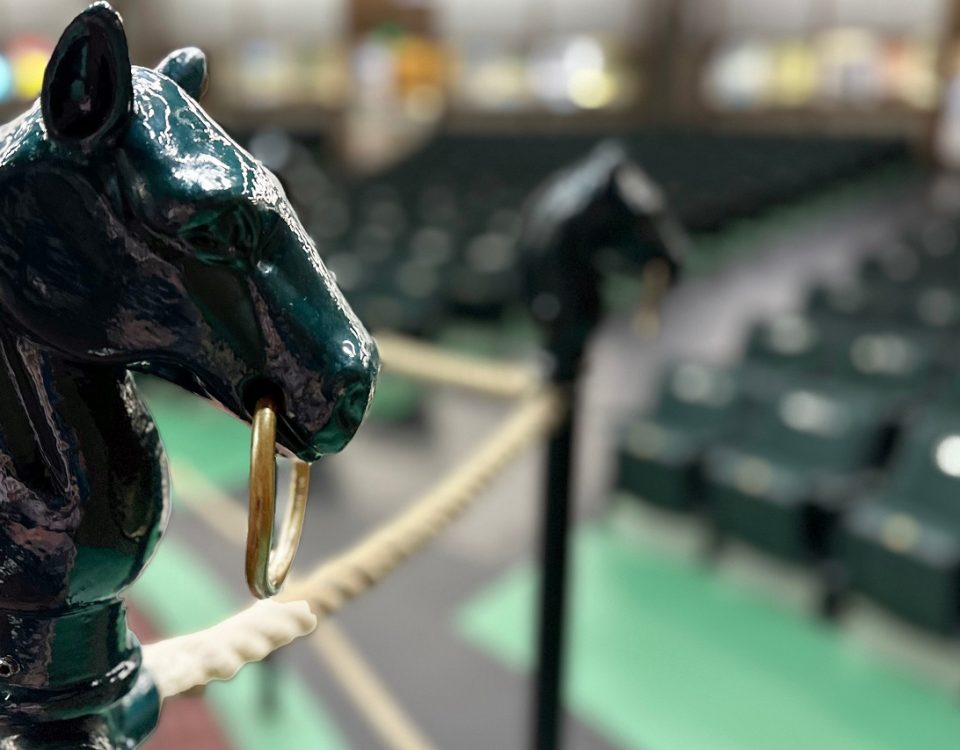 Scenics, 2023 Keeneland September Yearling Sale - Foto: Keeneland Sales