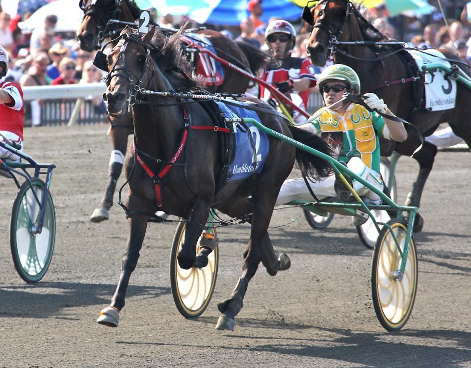 Market Share - The Hambletonian - Lisa Photo