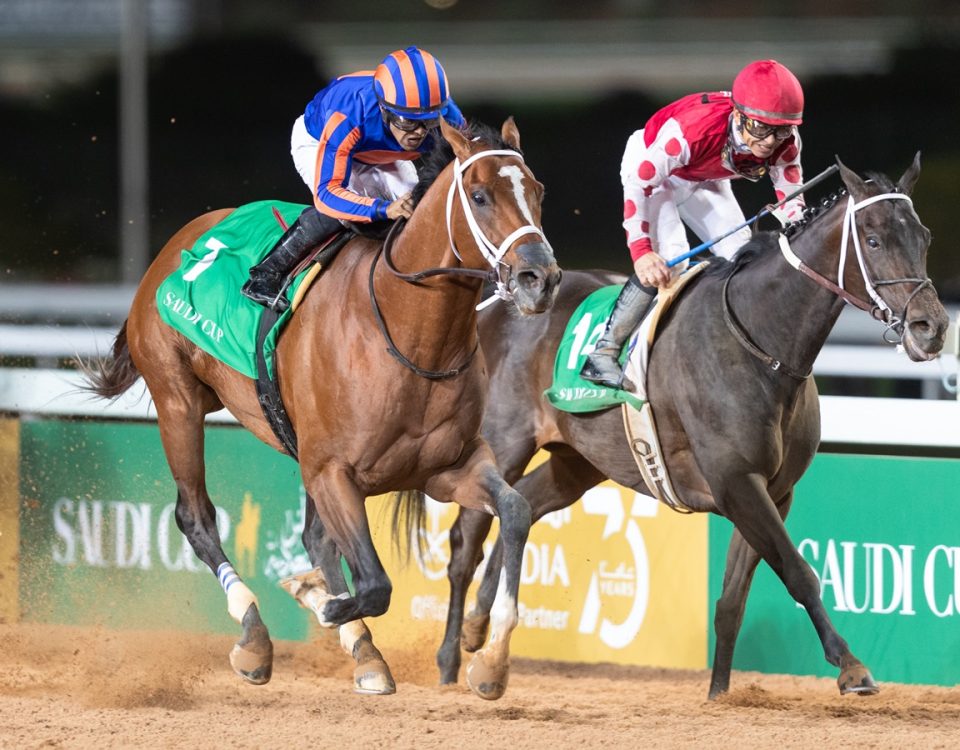 Maximum Security - Saudi Cup 2020 - JCSA