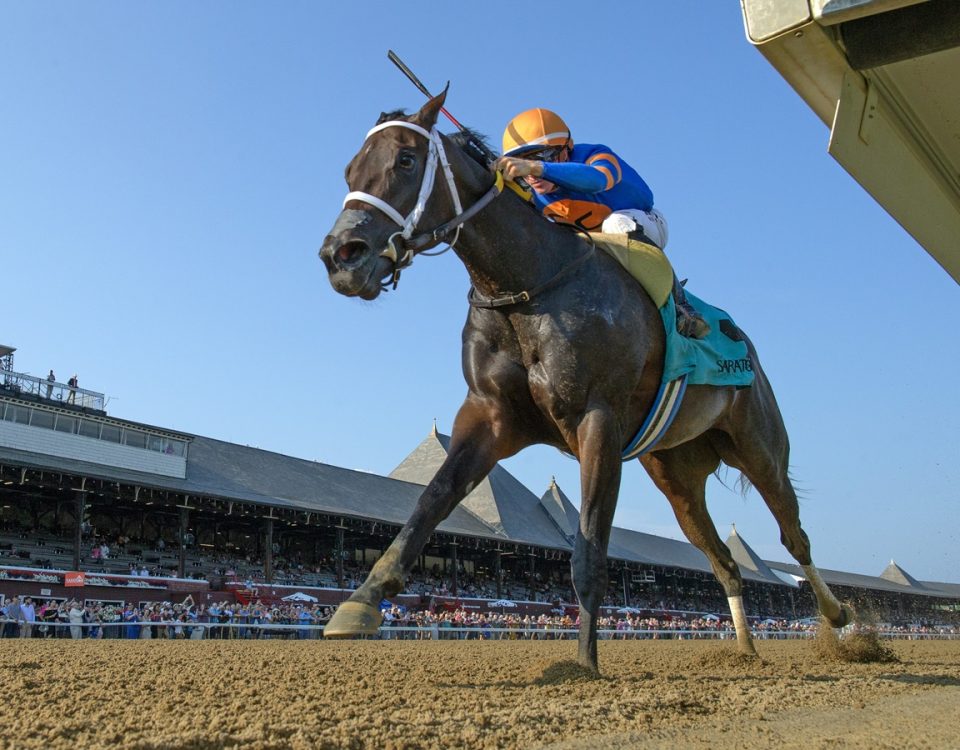 The Queens M G - Adirondack Stakes G3 - DRF Barbara Livingston