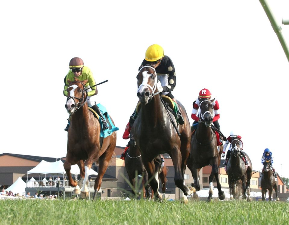 Chasing Liberty - The National Thoroughbred League Juvenile Sprint - Coady Media