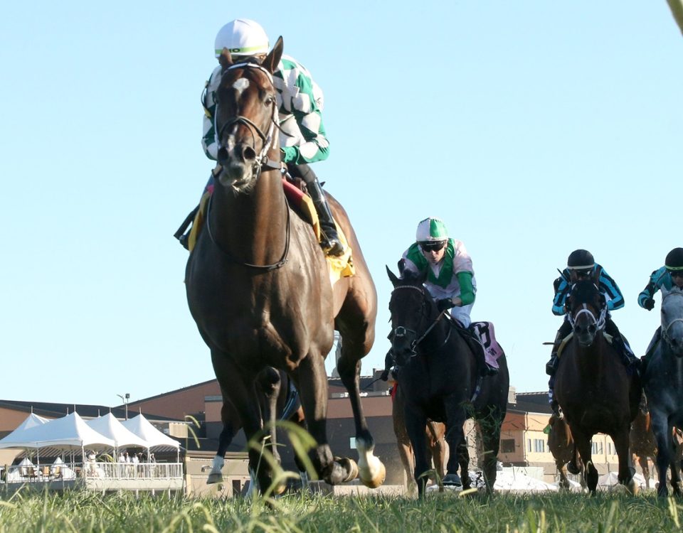 Cogburn - Kentucky Downs Turf Sprint G2T - Coady Media