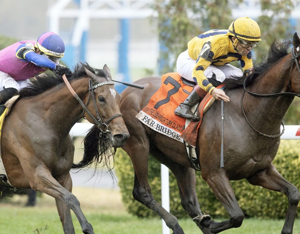 Far Bridge - Joe Hirsch Turf Classic - Barbara D. Livingston