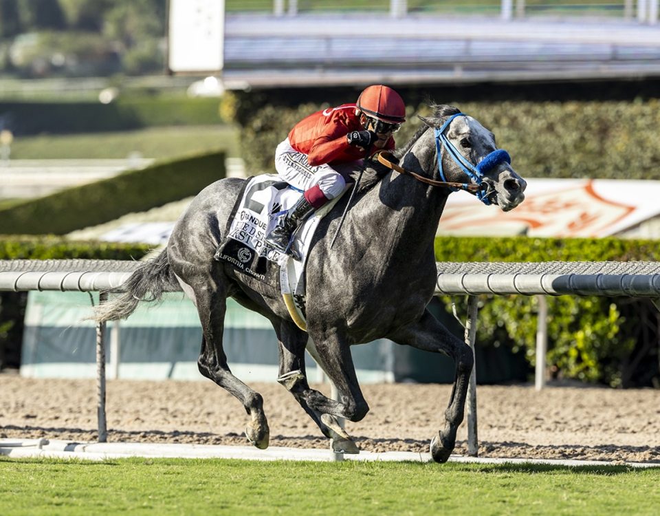 First Peace - California Crown Eddie D G2T -Benoit Photo