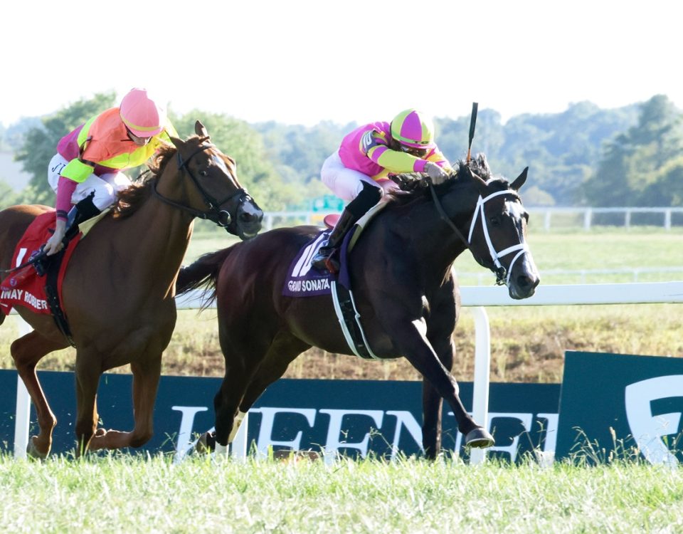 Grand Sonata - Kentucky Turf Cup G2T - Coady Media