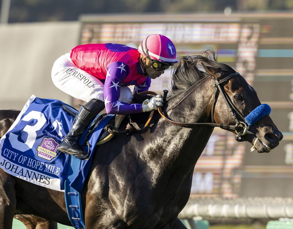 Johannes - City of Hope Mile Stakes G2T - Benoit Photo