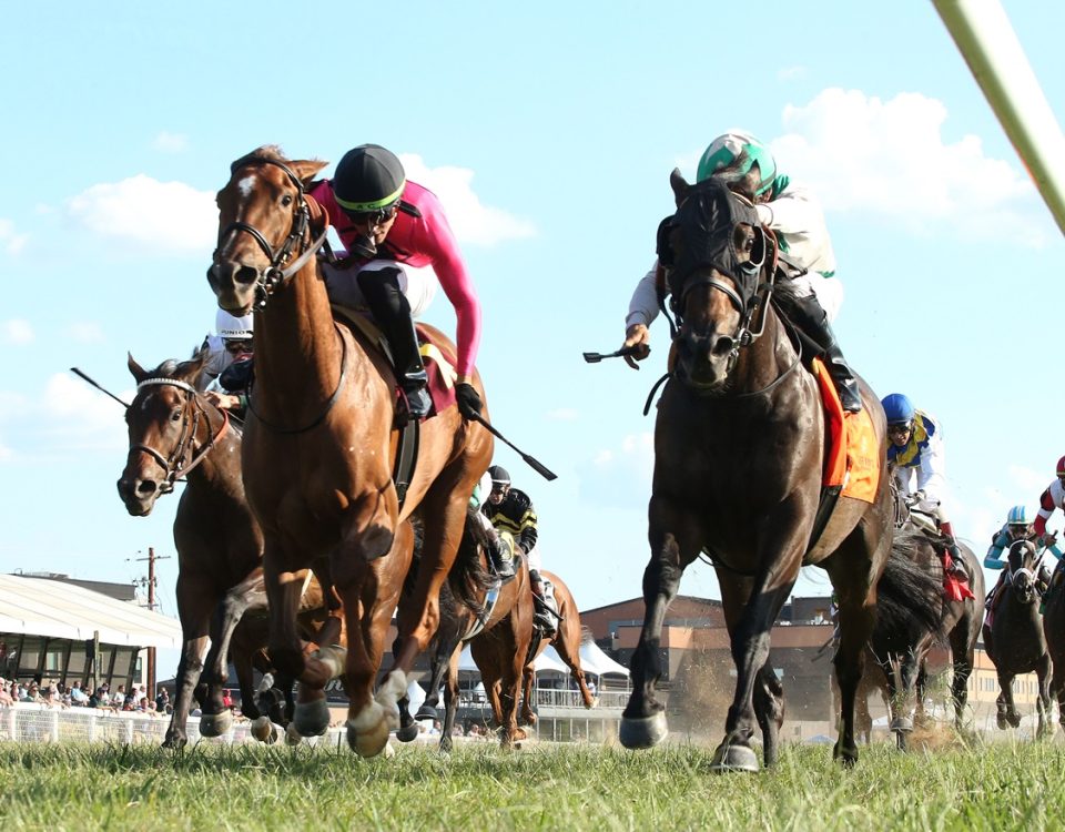 Safeen - Jeff Ruby One Dreamer Stakes - Coady Media