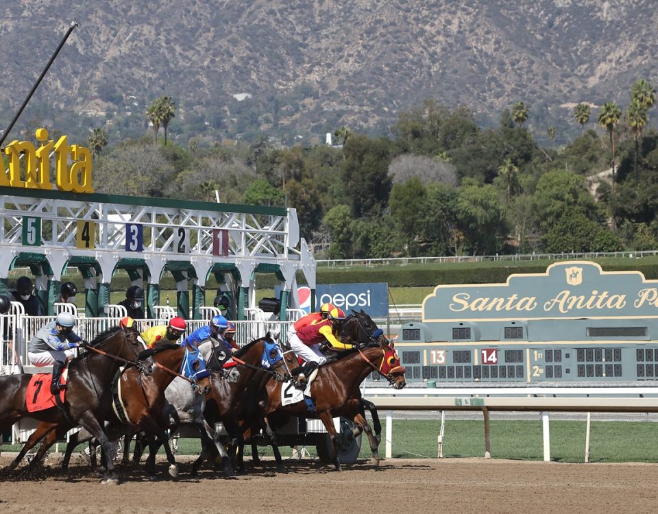 Santa Anita Park - Emily Shields