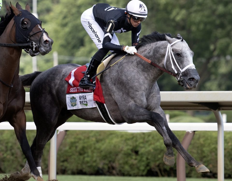 Seize the Grey - DRF Barbara Livingston