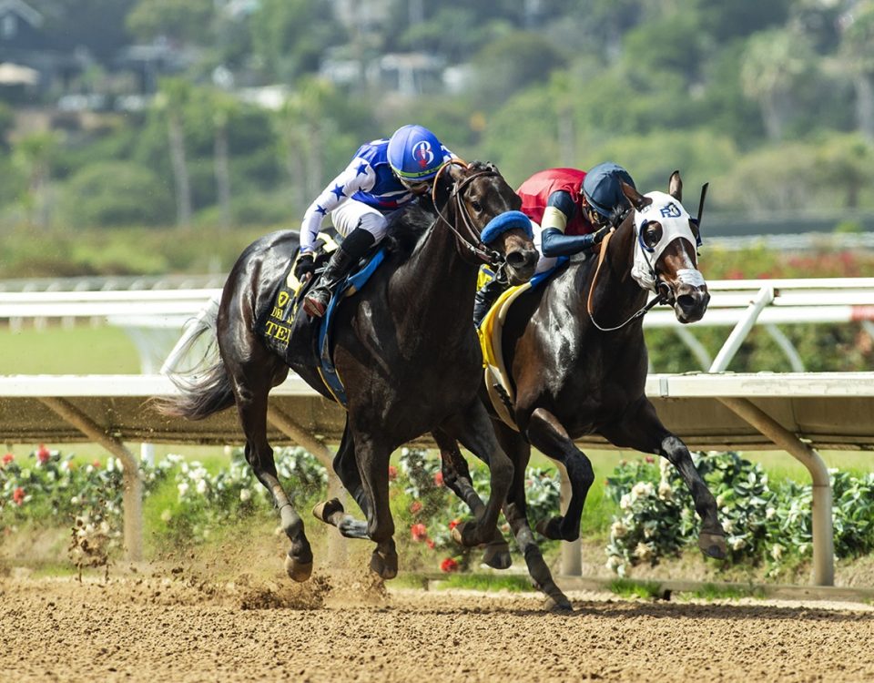 Tenma - Del Mar Debutante G1 - Benoit Photo