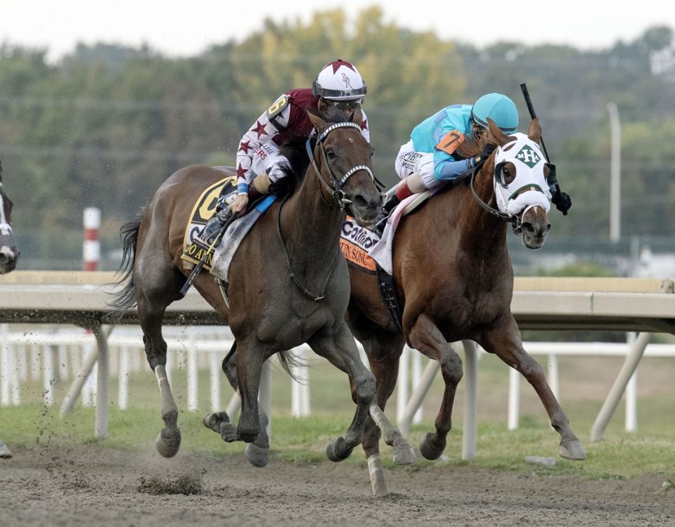 Thorpedo Anna - Cotillion Stakes G1 - DRF Barbara Livingston