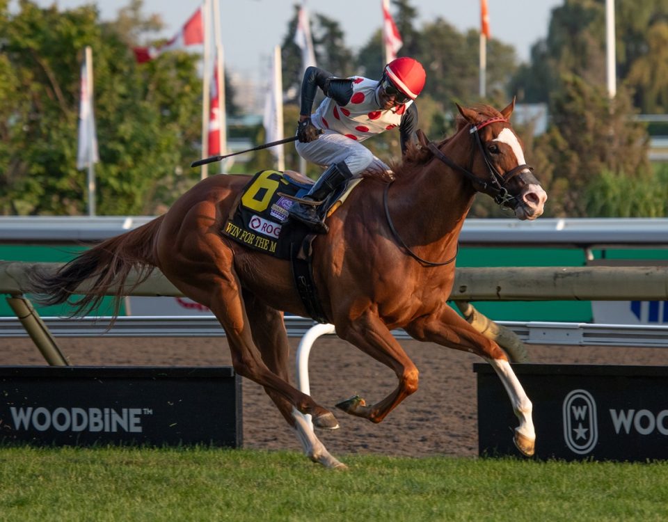 Win For The Money - Woodbine Mile G1T - DRF Julie Wright