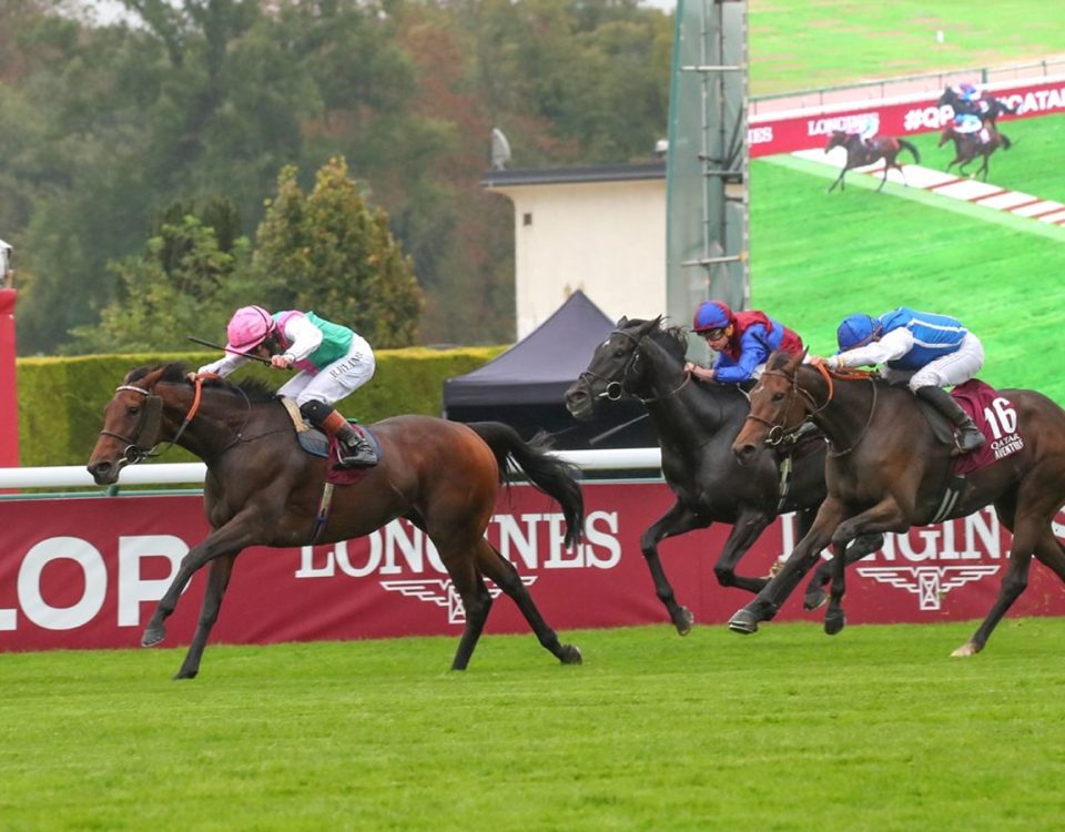 Bluestocking - Arc de Triomphe - Scoop Dyga