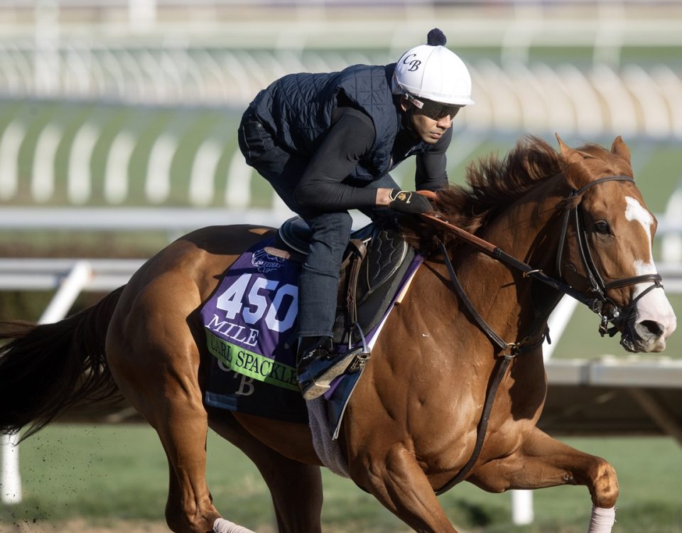 Carl Spackler - DRF Barbara Livingston