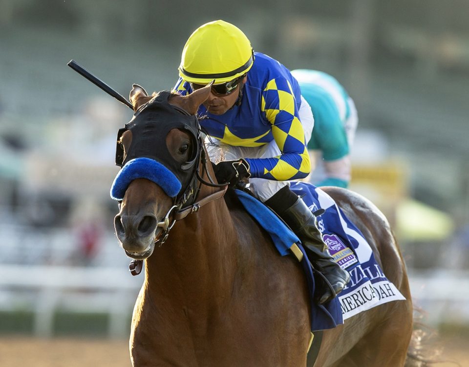 Citizen Bull - American Pharoah S. - Benoit Photo