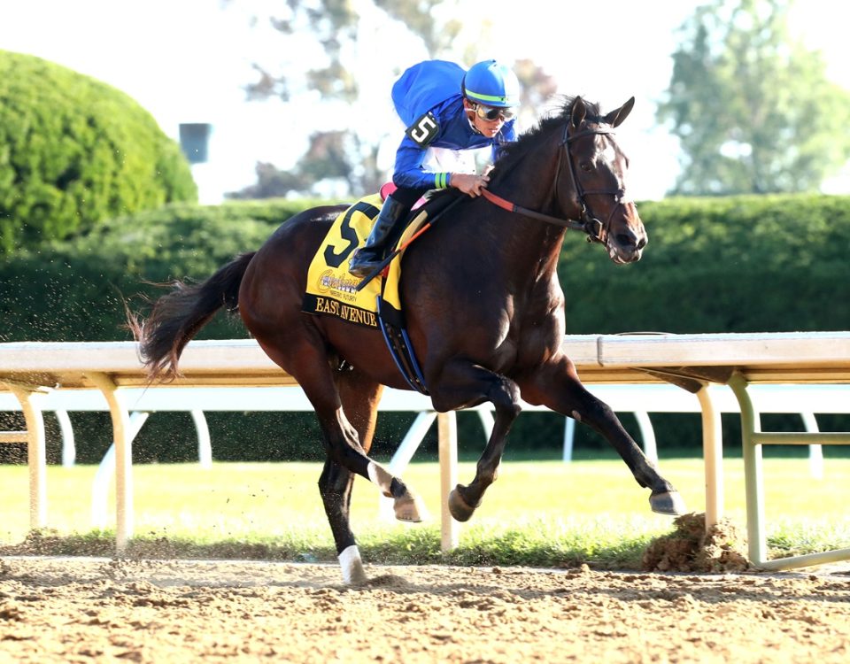 East Avenue - Breeders' Futurity - Coady Media