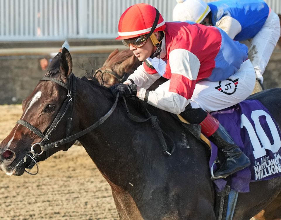 Foxy Junior - Maryland Million Distaff - Jeffrey Snyder