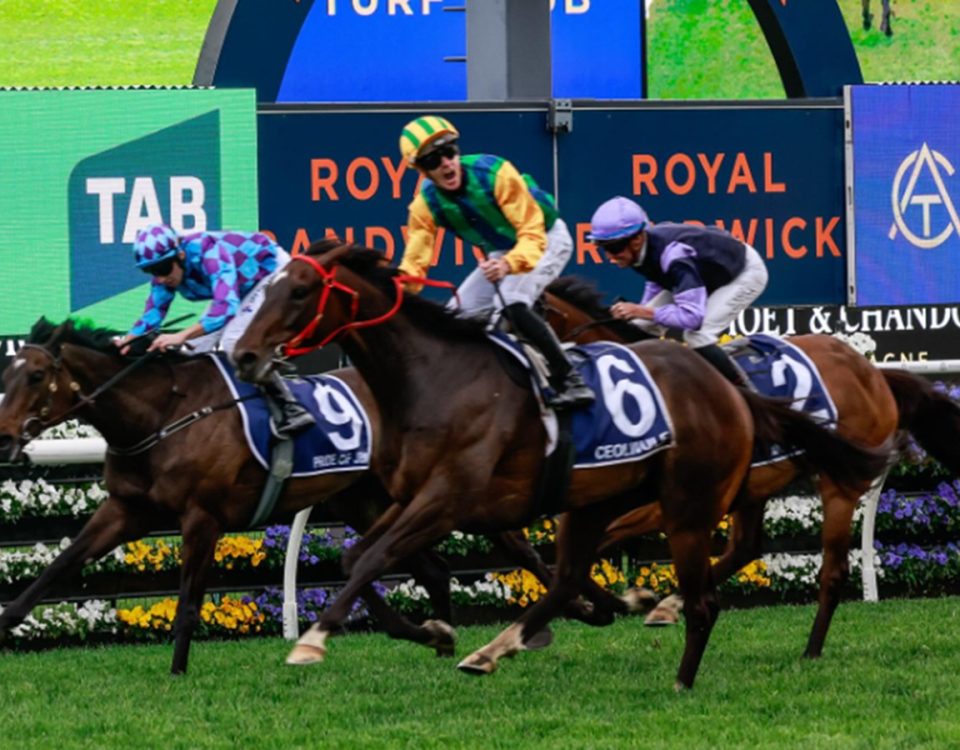 Ceolwulf (NZ) - King Charles III Stakes - Australian Racing Club/Royal Randwick