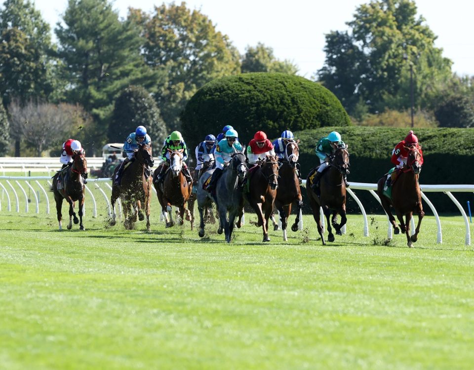 Keeneland Scenics - Coady Media