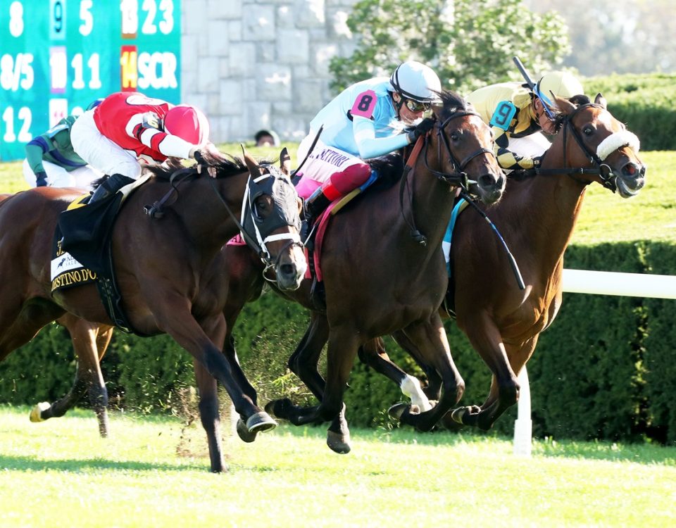 May Day Ready - Jessamine Stakes G2T - Coady Media