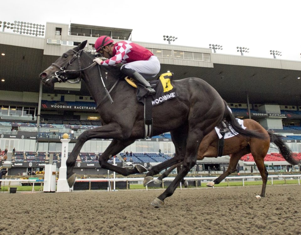 Winterberry - Glorious Song Stakes - Michael Burns