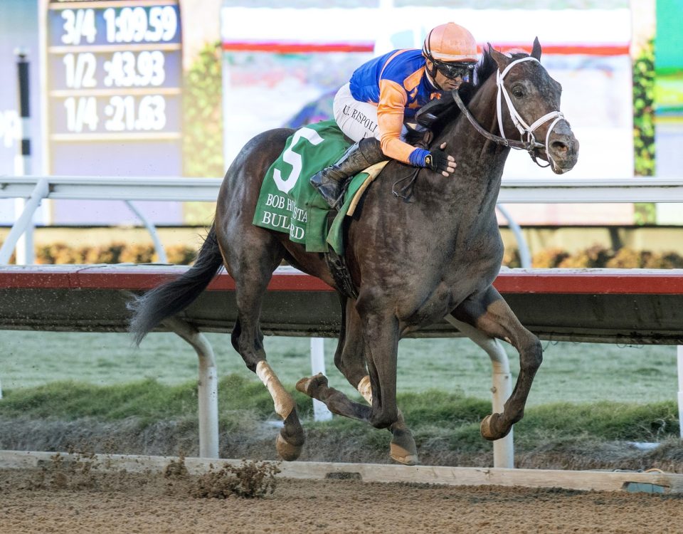 Bullard - Bob Hope Stakes G3 - credito: Barbara D. Livingston / Daily Raacing Form