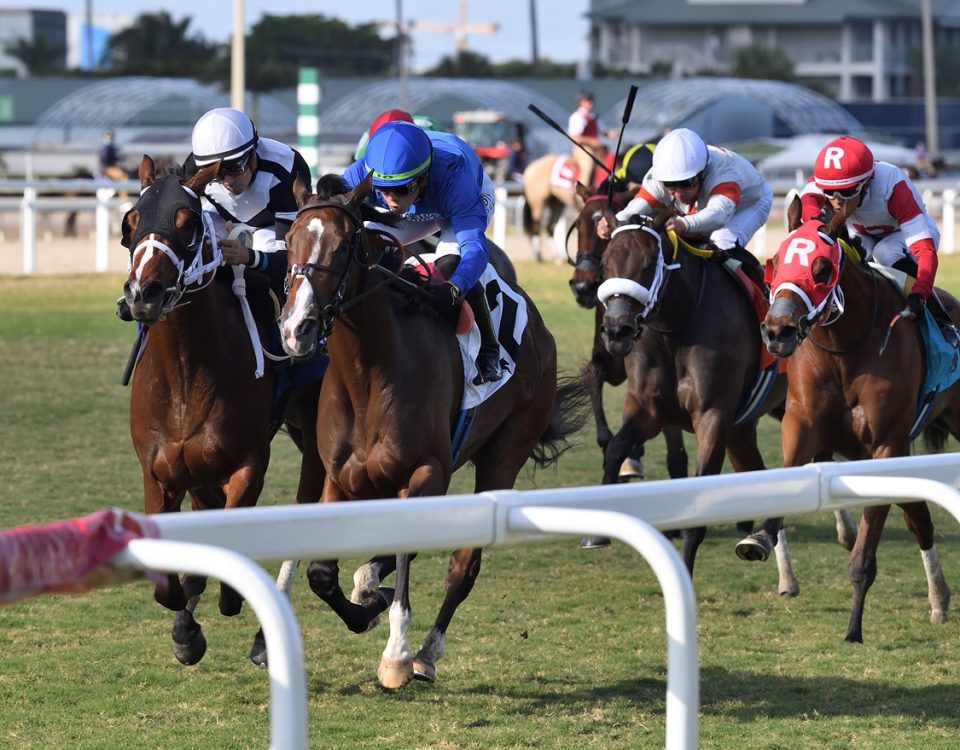 Civetta - Wait a While Stakes - Ryan Thompson/Coglianese Photo