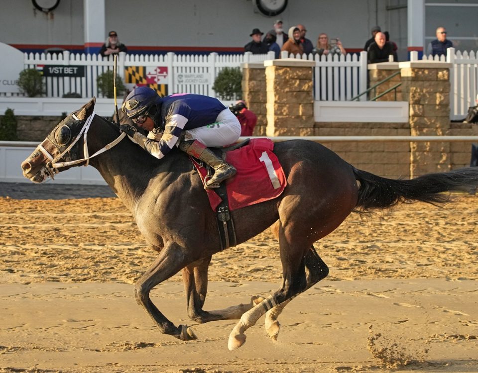 Copper Tax - Richard W. Small Stakes - Jeff Snyder/MJC