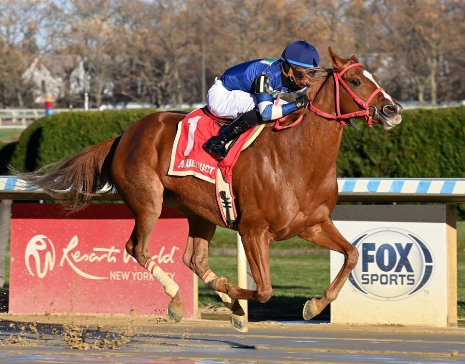 Golden Rocket - NYSS Stakes Staten Island Division - Coglianese Photo