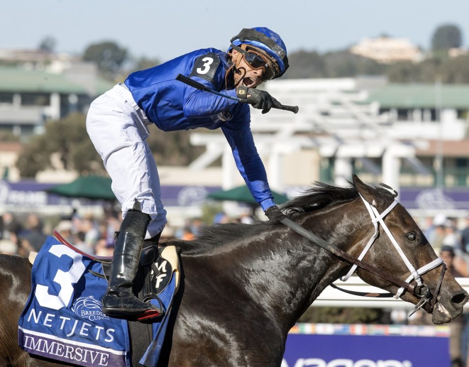 Immersive - Breeders Cup Juvenile Fillies - Barbara D. Livingston