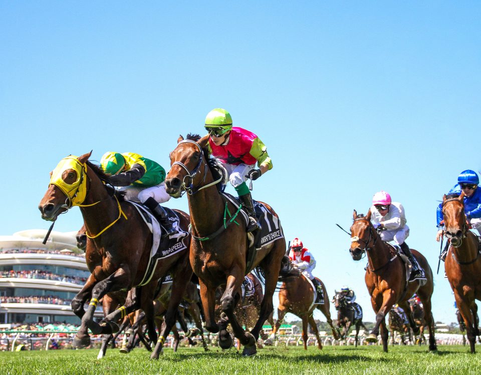 Knight’s Choice's, Melbourne Cup, Group 1 Photo Flemington Racetrack