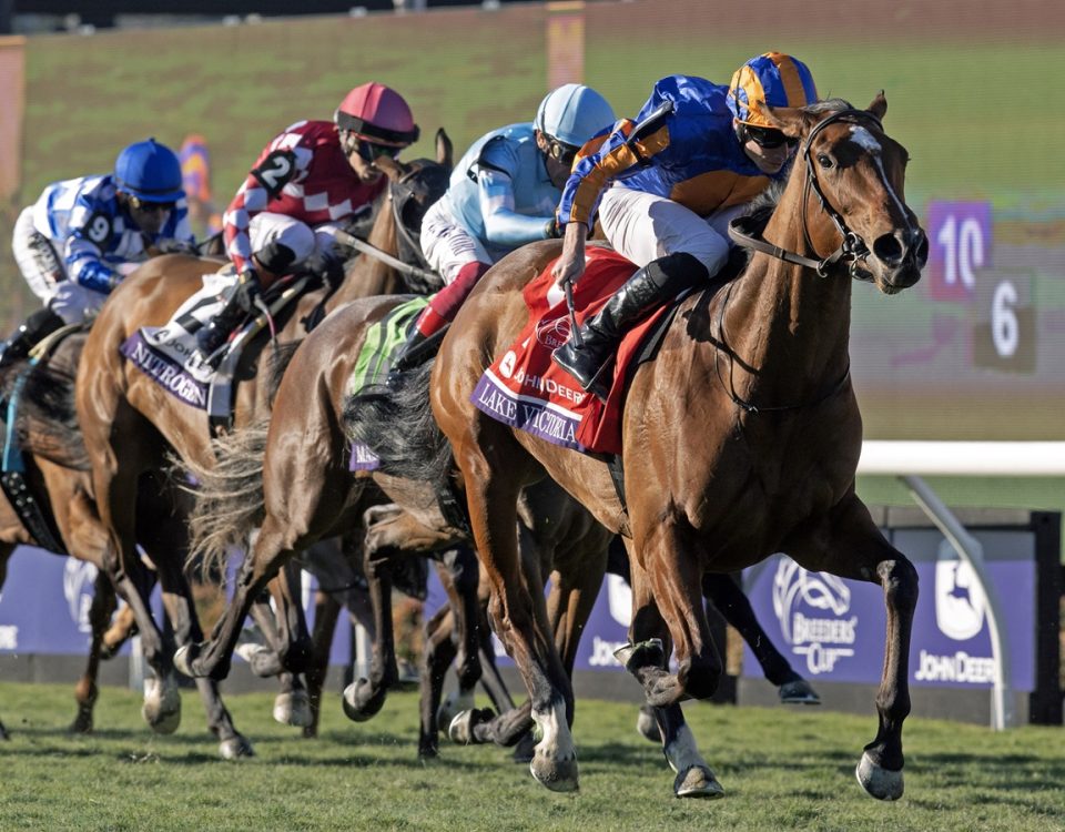 Lake Victoria - Breeders' Cup Juvenile Fillies Turf G1T - DRF Barbara Livingston