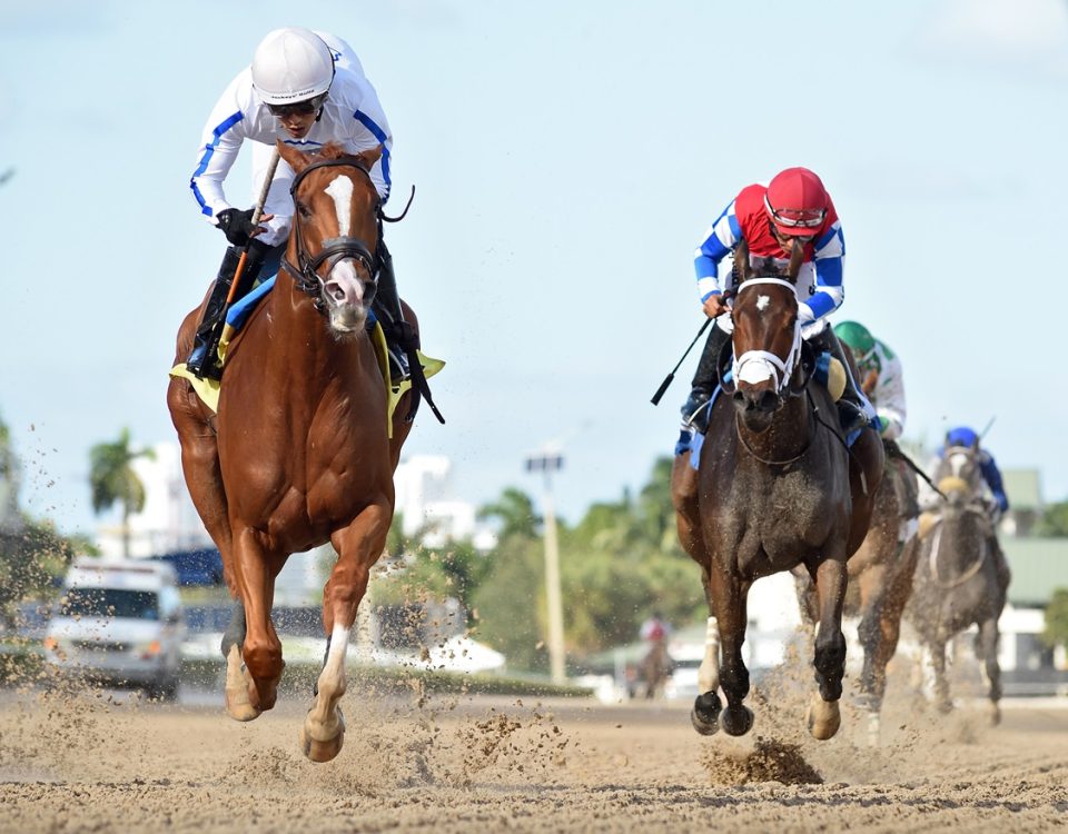 Mrs Worldwide - Juvenile Fillies Sprint Stakes - Ryan Thompson/Coglianese Photo