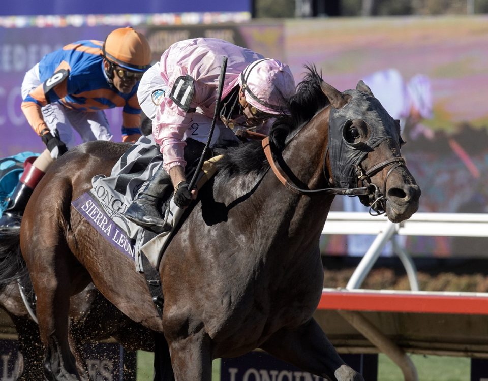 Sierra Leone - Breeders Cup Classic - DRF Barbara Livingston