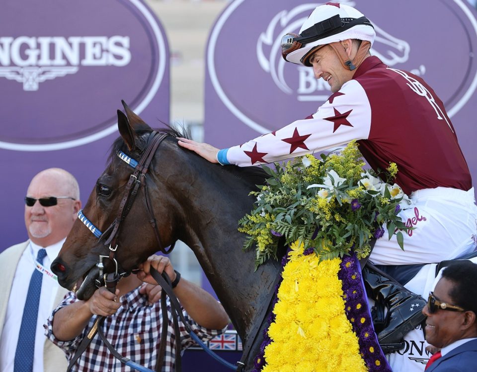 Thorpedo Anna - Breeders Cup Distaff - Susie Raisher