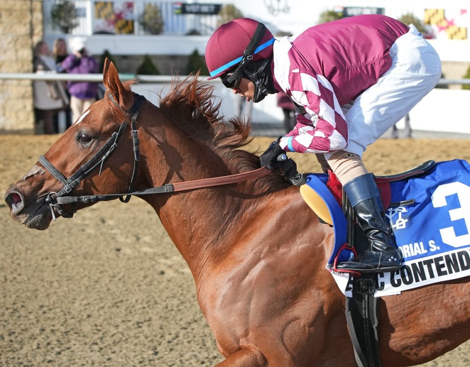 Celtic Contender - Howard and Sondra Bender Memorial S. - Jeff Snyder-MJC